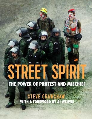 Street Spirit - Steve Crawshaw