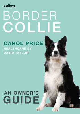 Border Collie - Carol Price