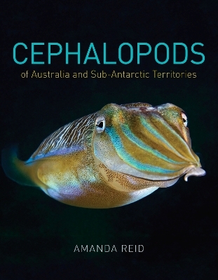 Cephalopods of Australia and Sub-Antarctic Territories - Amanda Reid