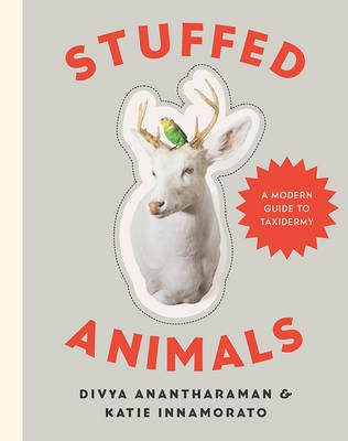 Stuffed Animals - Divya Anantharaman, Katie Innamorato