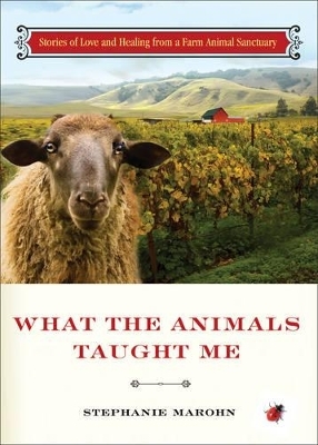 What the Animals Taught Me - Stephanie Marohn