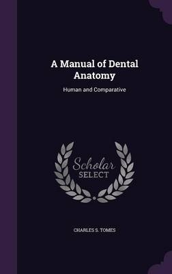 A Manual of Dental Anatomy - Charles Sissmore Tomes