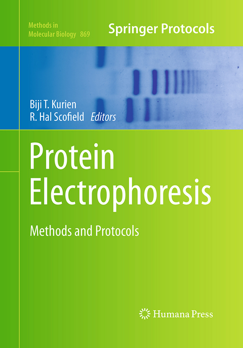 Protein Electrophoresis - 