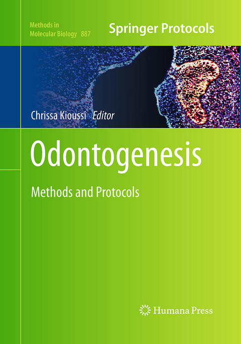 Odontogenesis - 