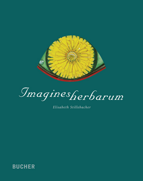 Imagines herbarum - Elisabeth Stillebacher