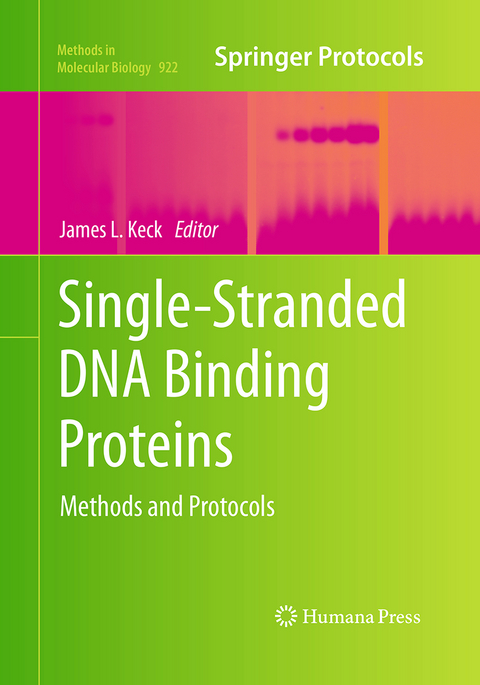 Single-Stranded DNA Binding Proteins - 