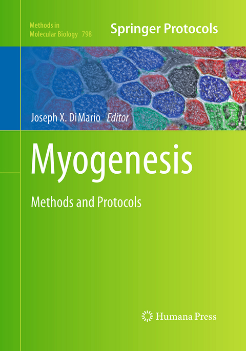 Myogenesis - 