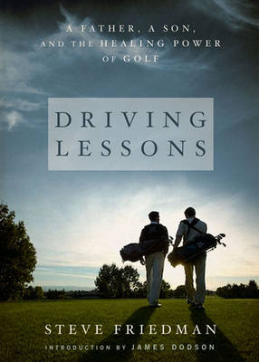 Driving Lessons - Steve Friedman