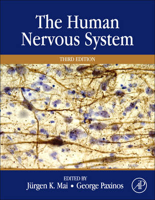 The Human Nervous System - 