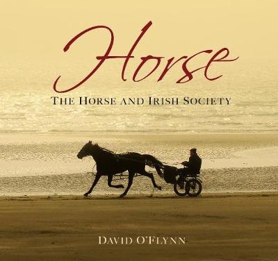 Horse - David O'Flynn