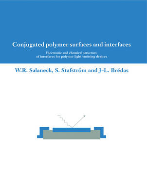 Conjugated Polymer Surfaces and Interfaces - W. R. Salaneck, S. Stafstrom, J. L. Brédas