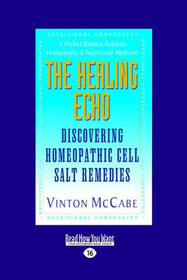 The Healing Echo - Vinton McCabe