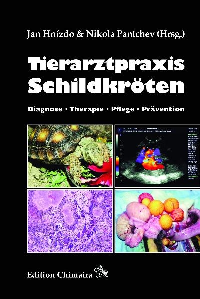 Tierarztpraxis Schildkröten - Jan Hnízdo, Nikola Pantchev, Ondřej Hes, Jiři Zych