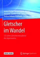 Gletscher im Wandel - Andrea Fischer, Gernot Patzelt, Martin Achrainer, Günther Groß, Gerhard Karl Lieb, Andreas Kellerer-Pirklbauer, Gebhard Bendler