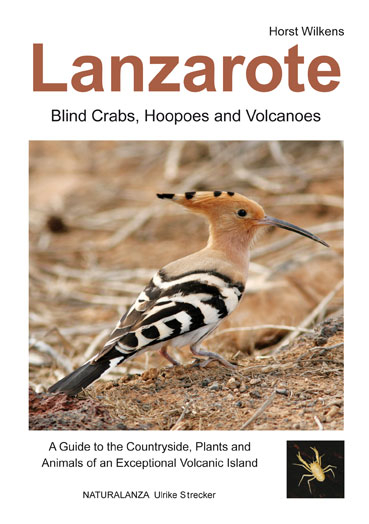 Lanzarote - Blind Crabs, Hoopoes and Volcanoes - Horst Wilkens