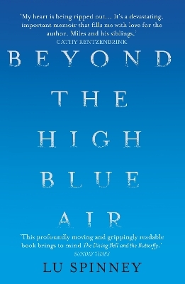 Beyond the High Blue Air - Lu Spinney