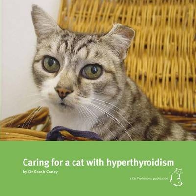 Caring Caring for a cat with hyperthyroidism - Sarah Caney