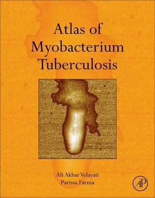 Atlas of Mycobacterium Tuberculosis - Ali Akbar Velayati, Parissa Farnia