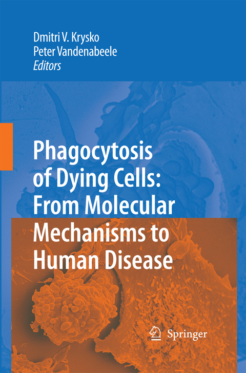 Phagocytosis of Dying Cells - 