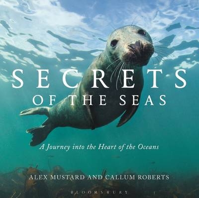 Secrets of the Seas - Professor Callum Roberts