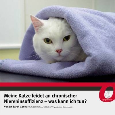 Meine Katze Leidet an Chronischer Niereninsuffizienz - Was Kann Ich Tun?