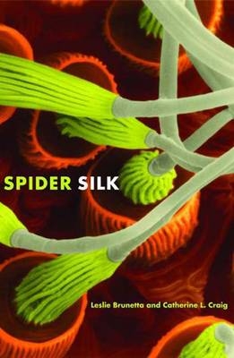 Spider Silk - Leslie Brunetta, Catherine L. Craig