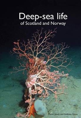 Deep-Sea Life of Scotland and Norway - Daniel Jones, Andrew Gates