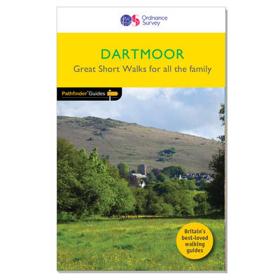 Dartmoor - Sue Viccars