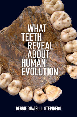 What Teeth Reveal about Human Evolution - Debbie Guatelli-Steinberg