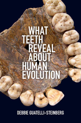 What Teeth Reveal about Human Evolution - Debbie Guatelli-Steinberg