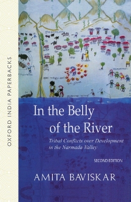 In the Belly of the River - Amita Baviskar