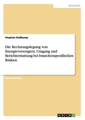 Die Rechnungslegung von Energieversorgern. Umgang und Berichterstattung bei branchenspezifischen Risiken - Stephan RoÃkamp