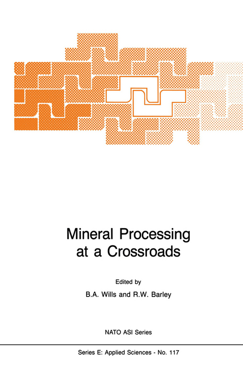 Mineral Processing at a Crossroads - 