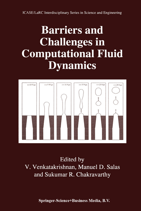 Barriers and Challenges in Computational Fluid Dynamics - 