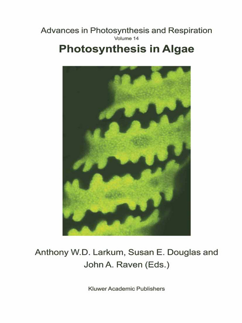 Photosynthesis in Algae - 