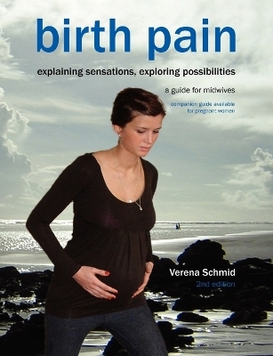 Birth Pain: Explaining Sensations, Exploring Possibilities - Verena Schmid