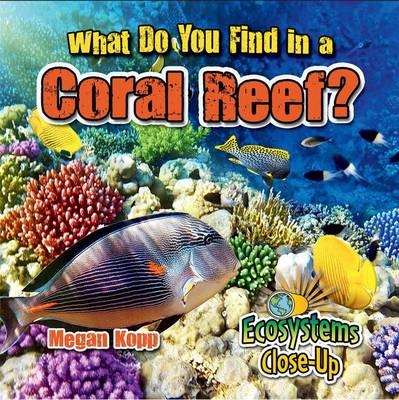 What Do You Find in a Coral Reef? - Megan Kopp