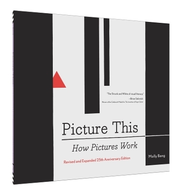 Picture This: How Pictures Work