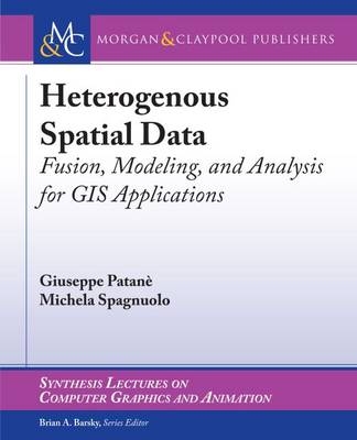 Heterogeneous Spatial Data - Giuseppe Patanè, Michela Spagnuolo