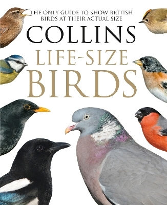 Collins Life-Size Birds - Paul Sterry, Rob Read