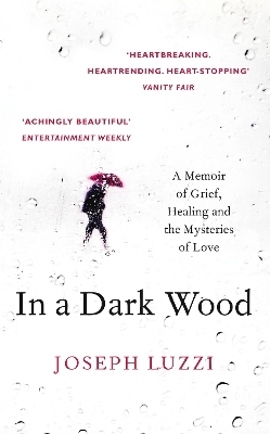 In a Dark Wood - Joseph Luzzi