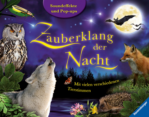 Zauberklang der Nacht