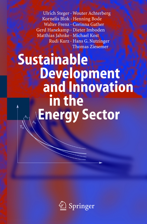 Sustainable Development and Innovation in the Energy Sector - Ulrich Steger, Wouter Achterberg, Kornelis Blok, Henning Bode, Walter Frenz, Corinna Gather, Gerd Hanekamp, Dieter Imboden, Matthias Jahnke, Michael Kost, Rudi Kurz, Hans Gottfried Nutzinger, Thomas Ziesemer