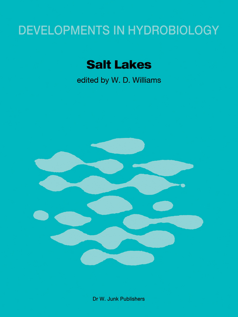 Salt Lakes - 