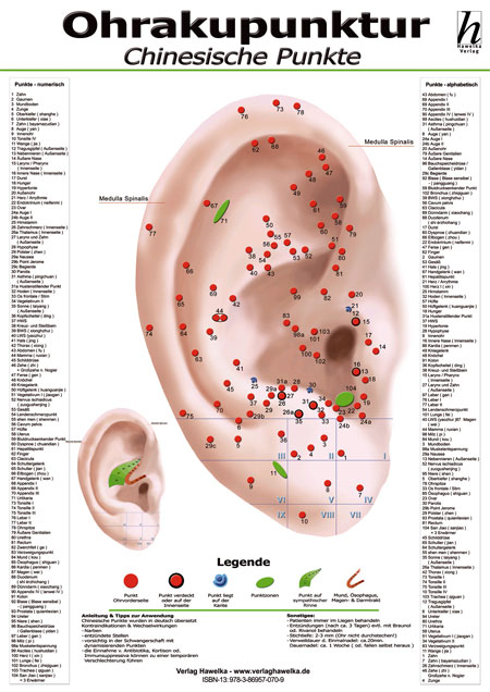 Ohrakupunktur-Poster - chinesische Punkte DIN A2 - 
