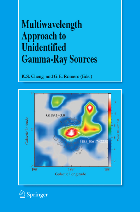 Multiwavelength Approach to Unidentified Gamma-Ray Sources - 