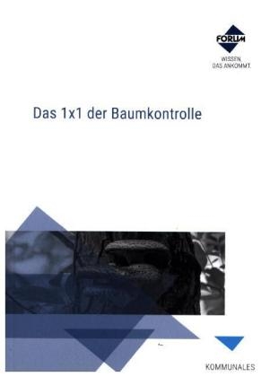 Das 1x1 der Baumkontrolle