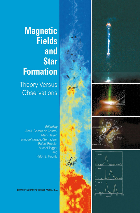 Magnetic Fields and Star Formation - 