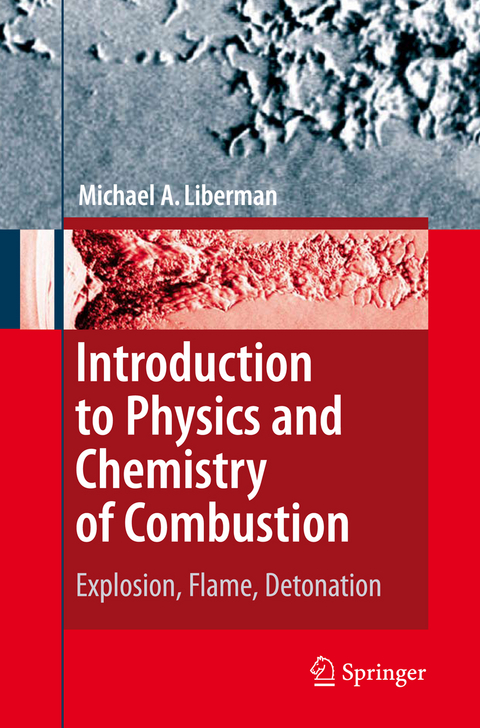 Introduction to Physics and Chemistry of Combustion - Michael A. Liberman