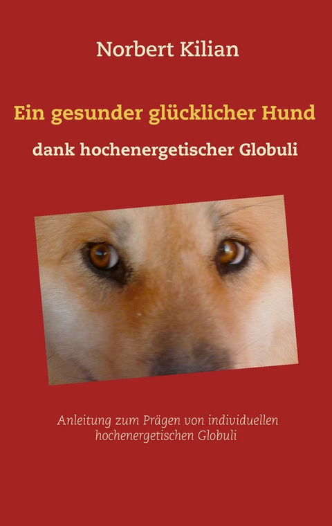 Ein gesunder glücklicher Hund dank hochenergetischer Globuli - Norbert Kilian